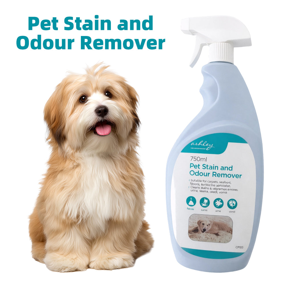 Pet Stain and Odour Remover Spray — 750ml